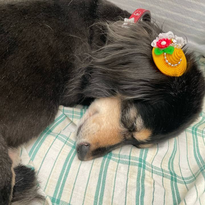 2219a2c6 83a3 4698 862f aa2b22043cd6 1689687703774