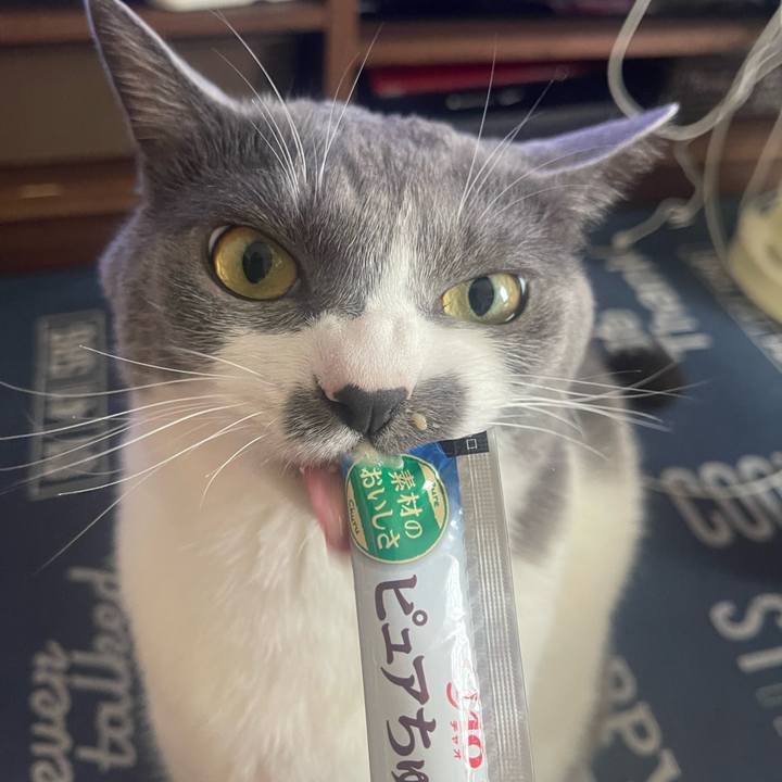 2219a7d9 944e 4a8c 8fa8 a0ea78343fc2 1717050743562