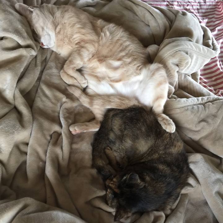 2219d28b c959 4198 ac52 414d8f8b2cf0 1563970296530