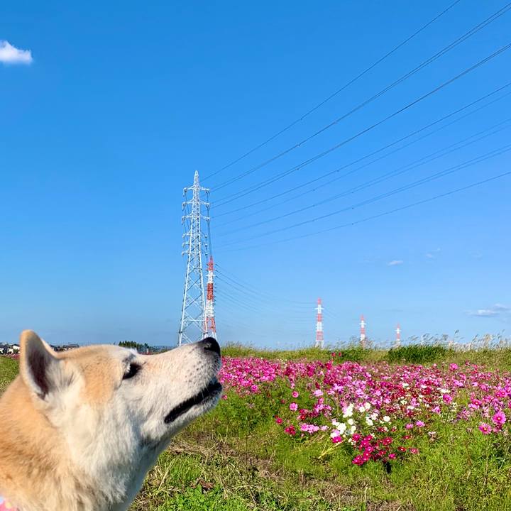 2219d72d 5045 4075 957f 5df0e3f883c7 1729003838898