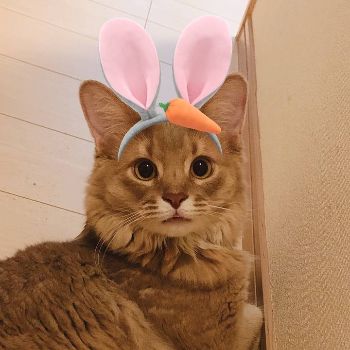 2219d7fe f0dc 4cfb b116 a115e837d3ed 1565884797681