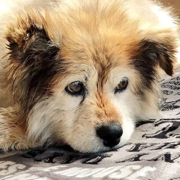 2219f7f7 ca9a 4db6 821b e432d295d5d5 1574047408330