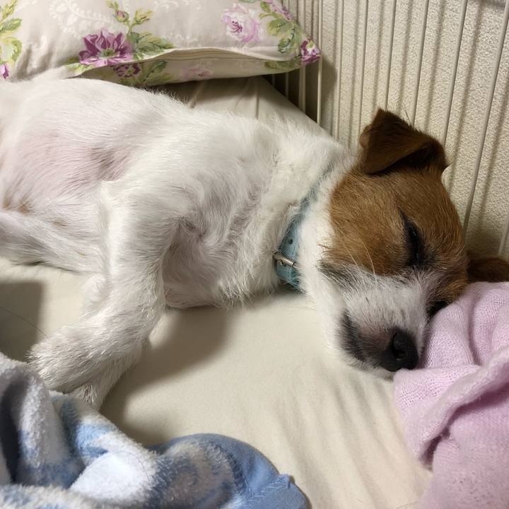 221a014d 6ca3 4a36 9ce5 f0fea505a090 1537019877889