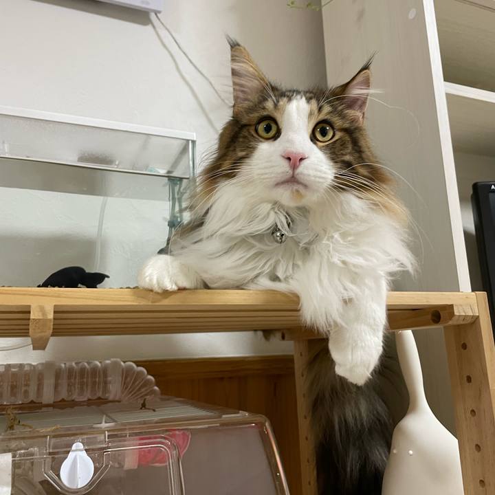 221a248d 92e1 4180 88bd efdd4340d08d 1646221540738