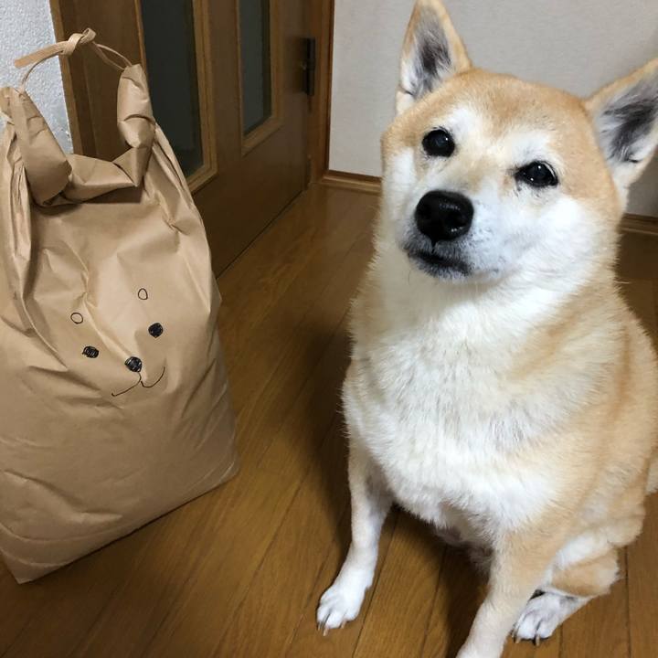 221ac40e 964e 485d b4a1 db7e97841548 1609249023615