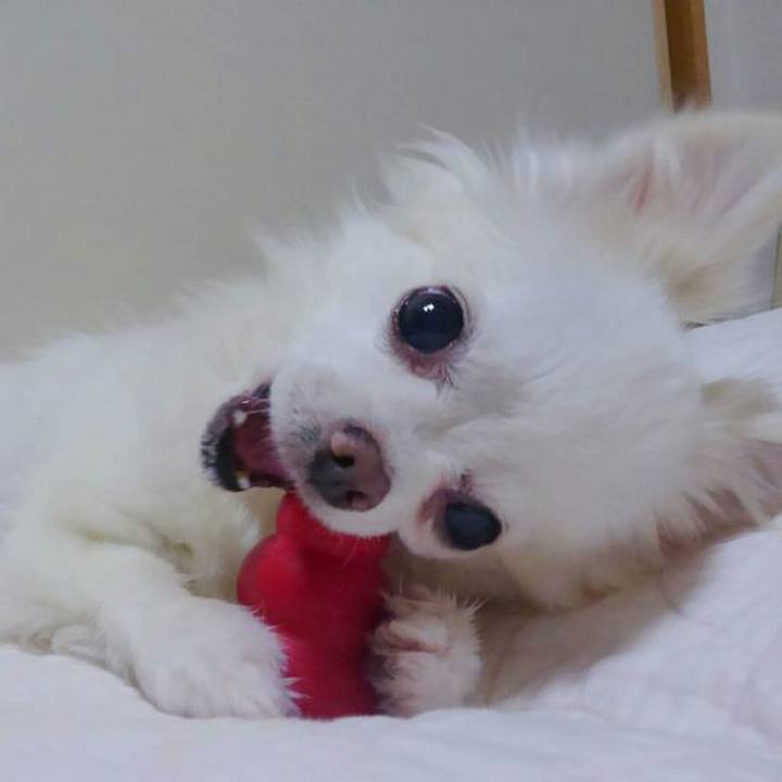 221ae0af e1e6 4ff4 b359 5e4807a5ff36 1533644774371