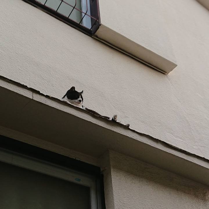 221ae149 d587 4cf4 a2bb f9456f2d6b59 1531835448565