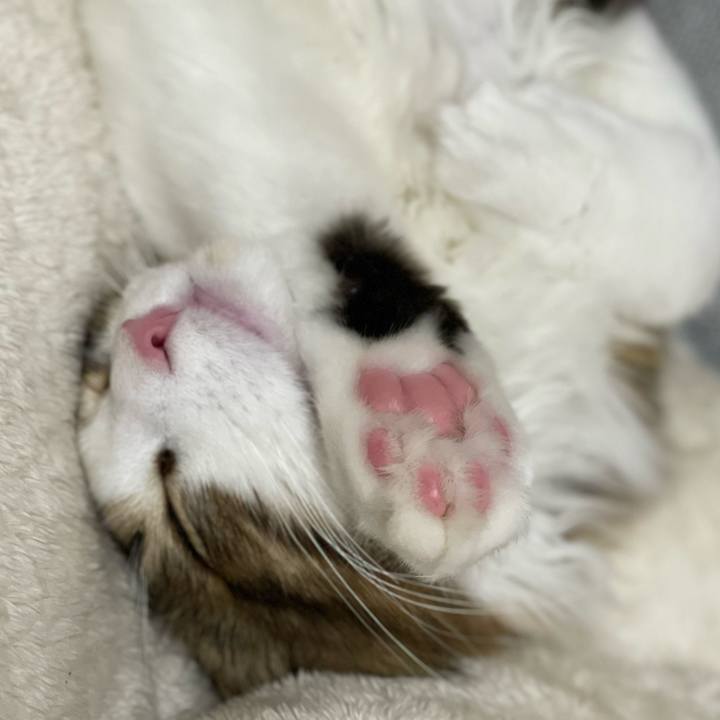 221af6c1 0650 4881 992f 01bc10684886 1637145667697