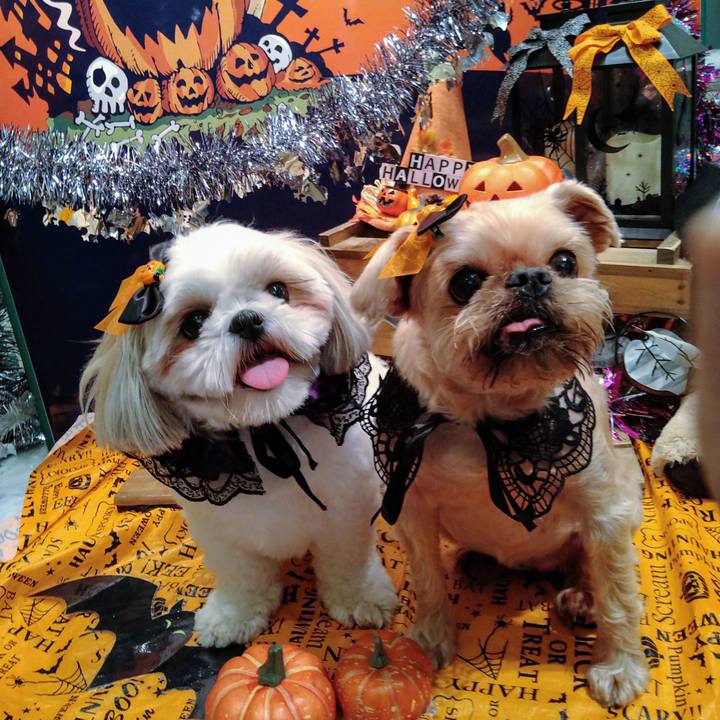 221b0d2b d1c0 4dc7 8fc9 ce707d0aa33f 1632993502496