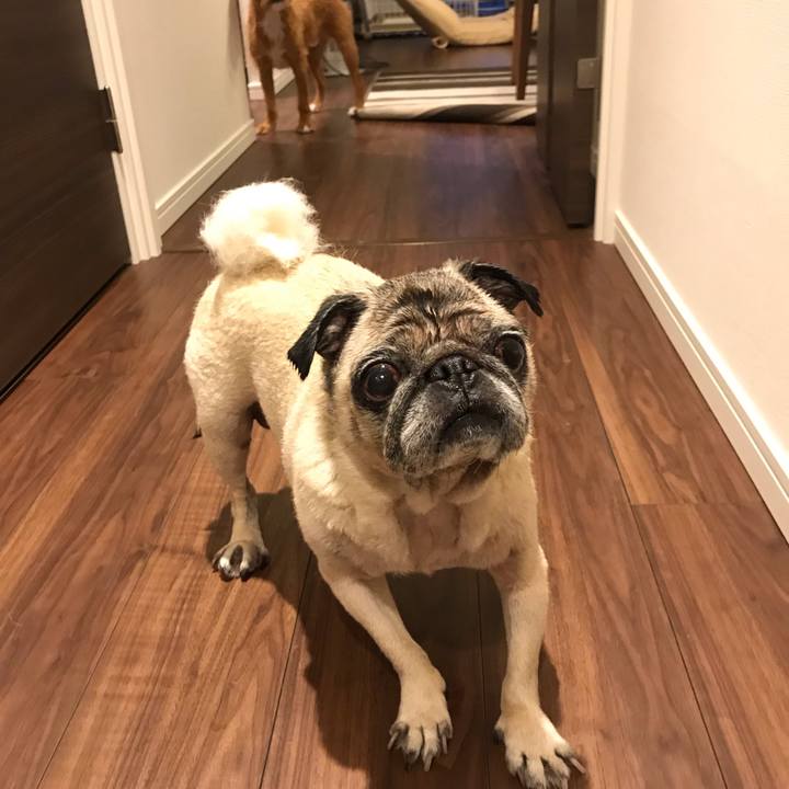 221b11a3 8401 4b6d 947a a841812a2d72 1568628978475