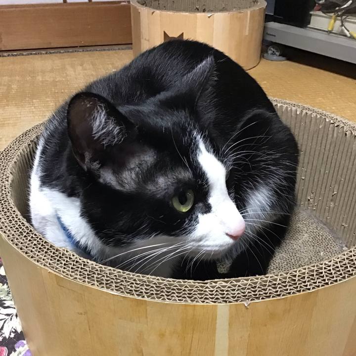 221b1afc 7164 4a5f 8403 fe09698e290b 1746695382599