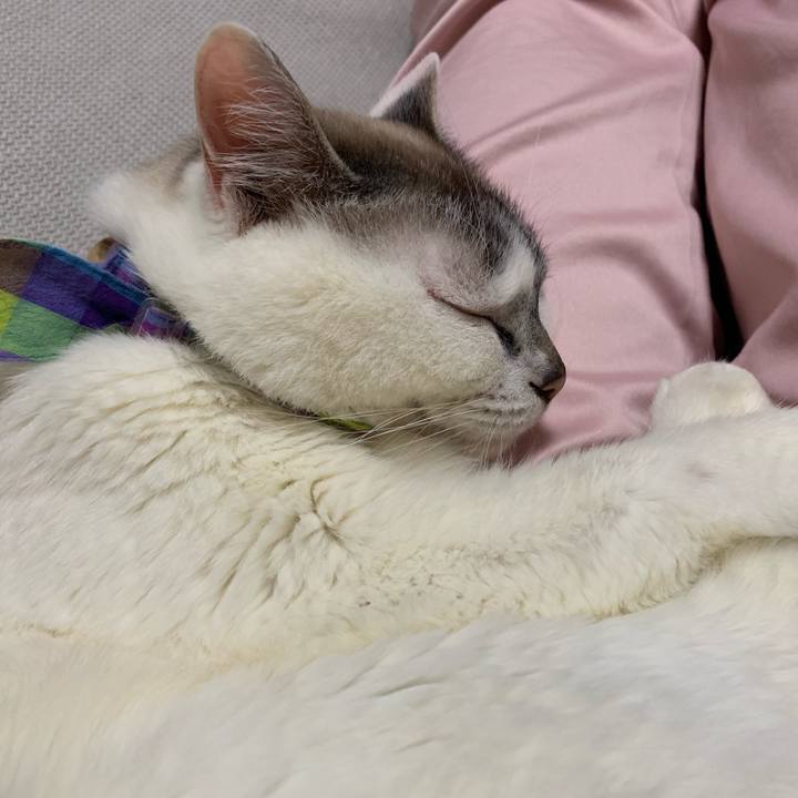 221b2de3 e5e2 483f 8431 3db9a041e596 1562590128993