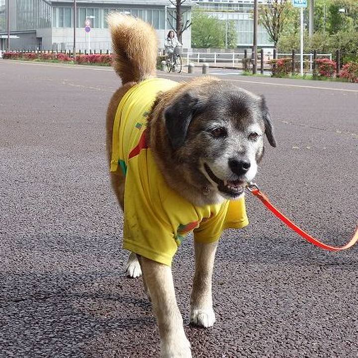 221b73c7 7e5f 4dcb 9a9b f5aad4f2291b 1523757004024