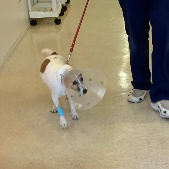 221b82e9 eff6 4e21 a96d f64d7b3e236d 1563624695239