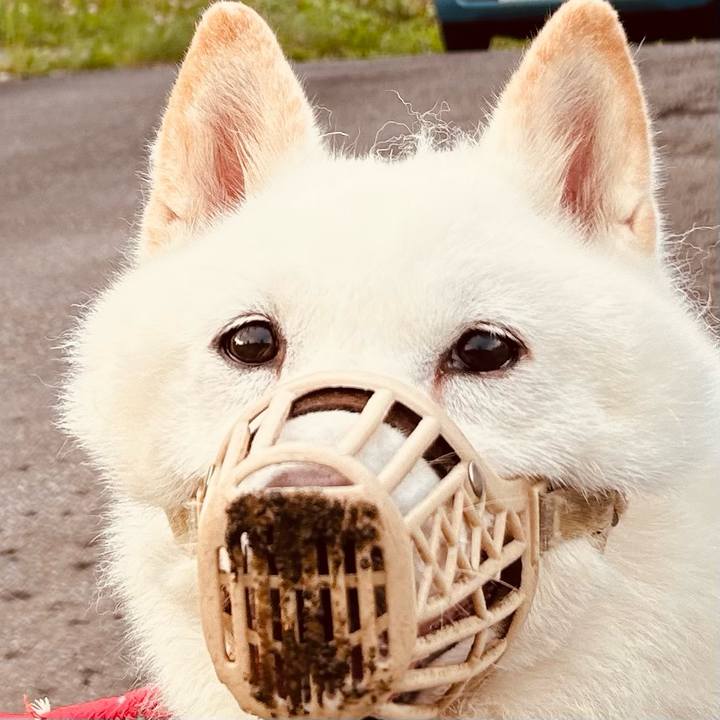 221ba7d4 b929 4841 84da bf4269d1c919 1754773877223