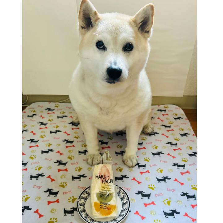 221bd865 c9e2 46fa 9855 04a365d66193 1737680006997