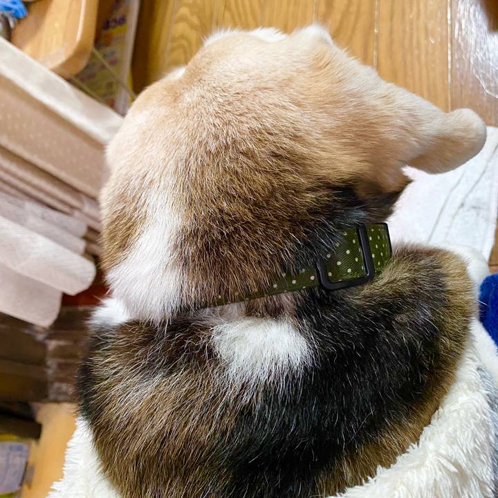 221be0ef b4d6 4c84 bc40 1196a245a70f 1649043626002