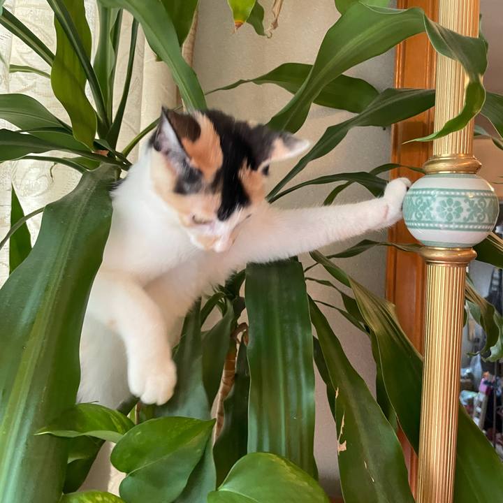 221bf00b 798c 4aff b9a0 87ea58c1b17a 1665798994048