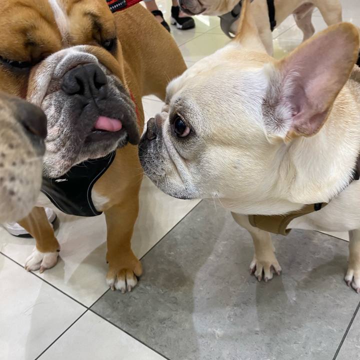 221bfaf8 4873 4342 b986 aa268730d383 1620538983489