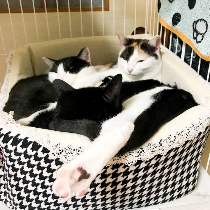 221bff9f 9960 40a4 a141 4affa1a6d039 1517622971535