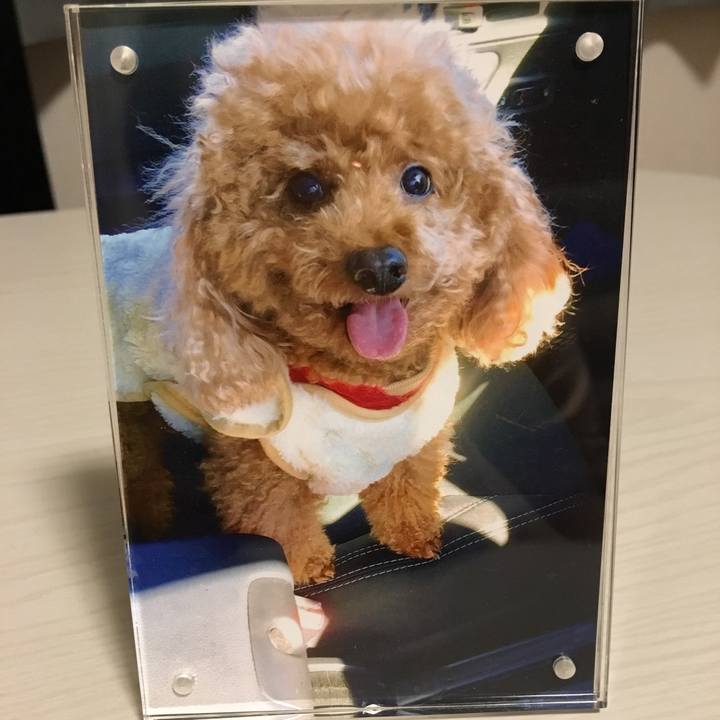 221c0e0a b307 41a3 8216 f0dbad23c71d 1593623170216