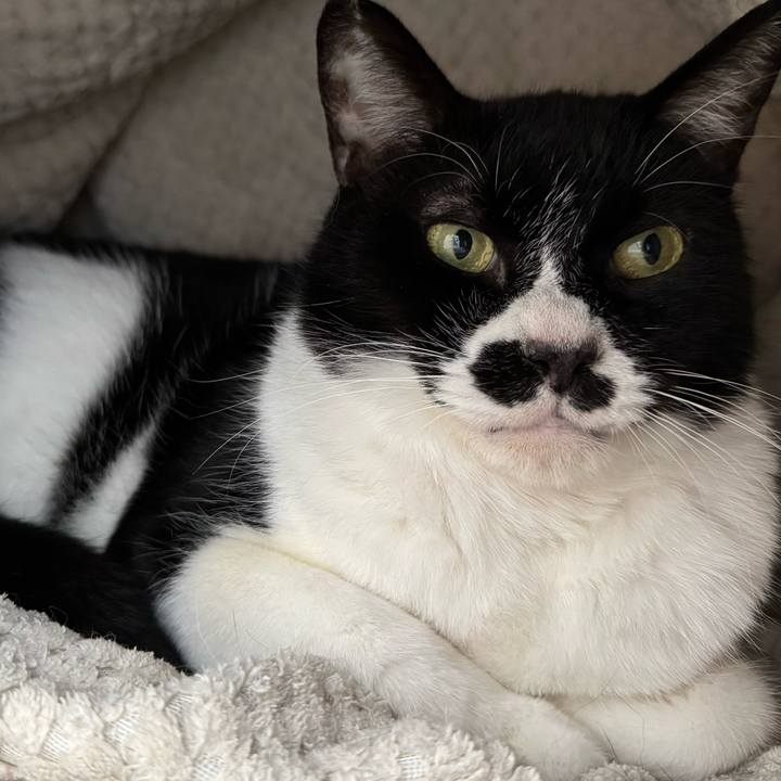 221c292a 7cf3 474d b4b2 dee71e422d3d 1740711569350