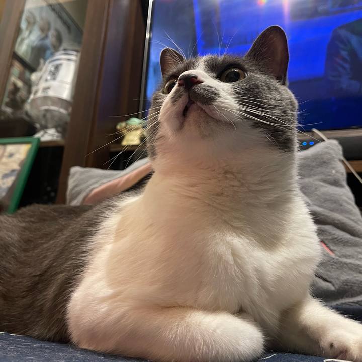 221c857d f8b8 4a9b b59a 7cfdf23751cf 1749303973088