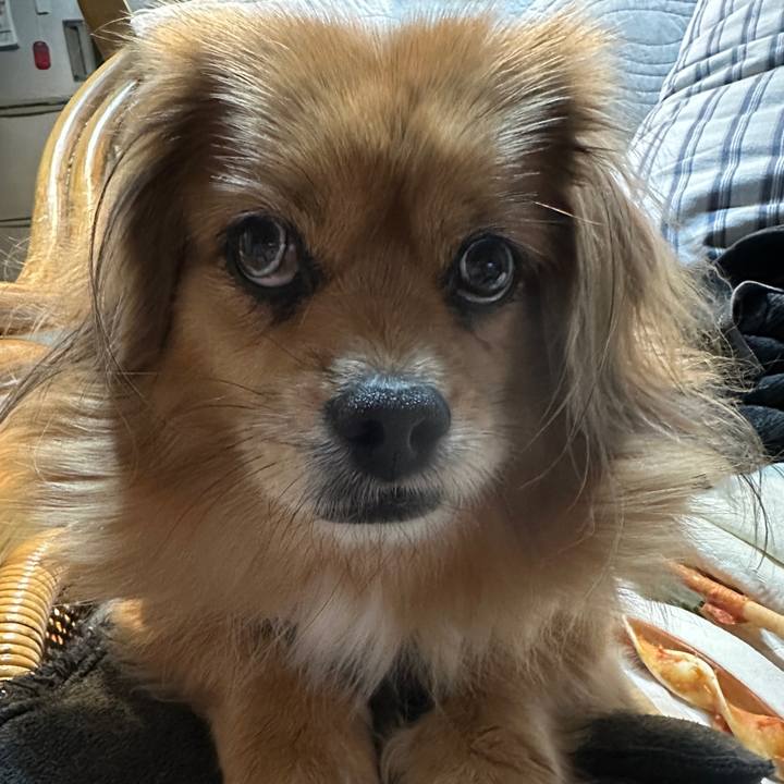 221cbbdc 475d 49f3 b843 491364c1f350 1700774385889