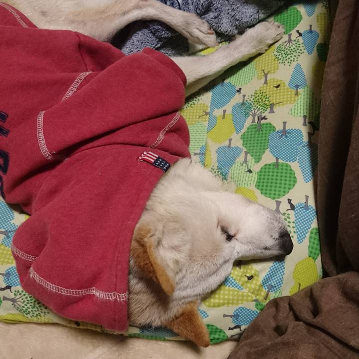 221dc53f 29df 4135 9037 39dcf7e090a6 1519654072731