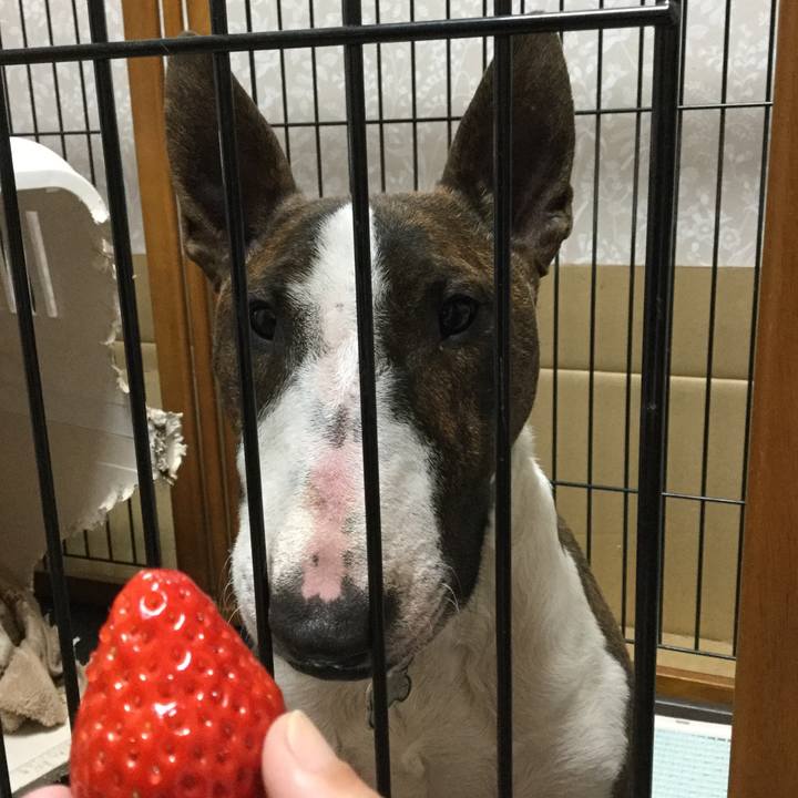 221dc616 2bad 4962 92ab f39e8922c423 1640312592204