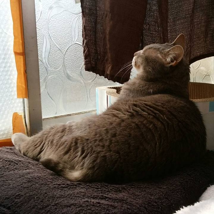 221df41b d460 42ea ab38 7ae5d5996c9b 1586997307156