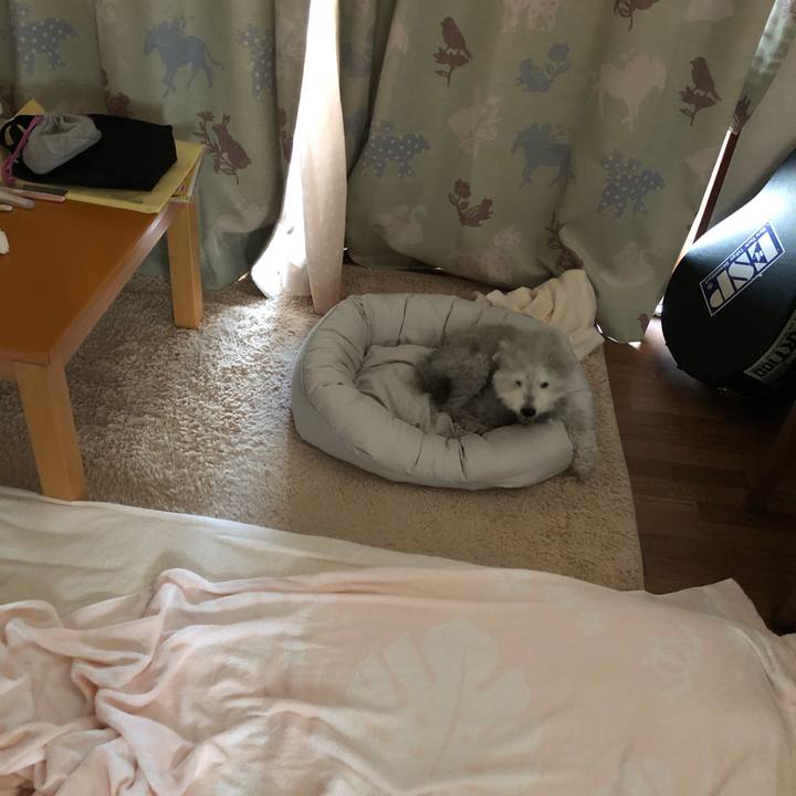 221e3992 fc21 43af 916b e8b6db51a731 1621061596106