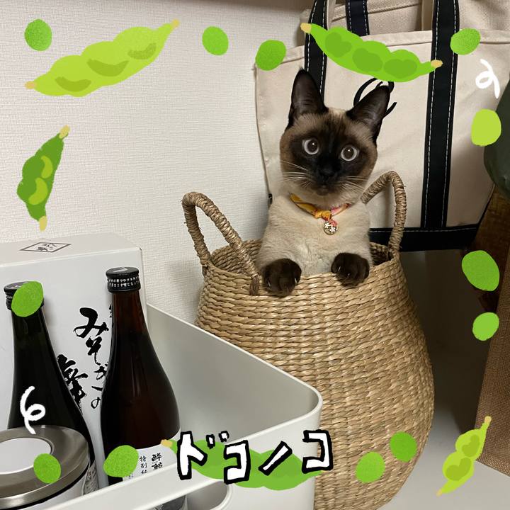 221eacdd 2852 4ab3 ab6e 8393c9d823b0 1720815341512