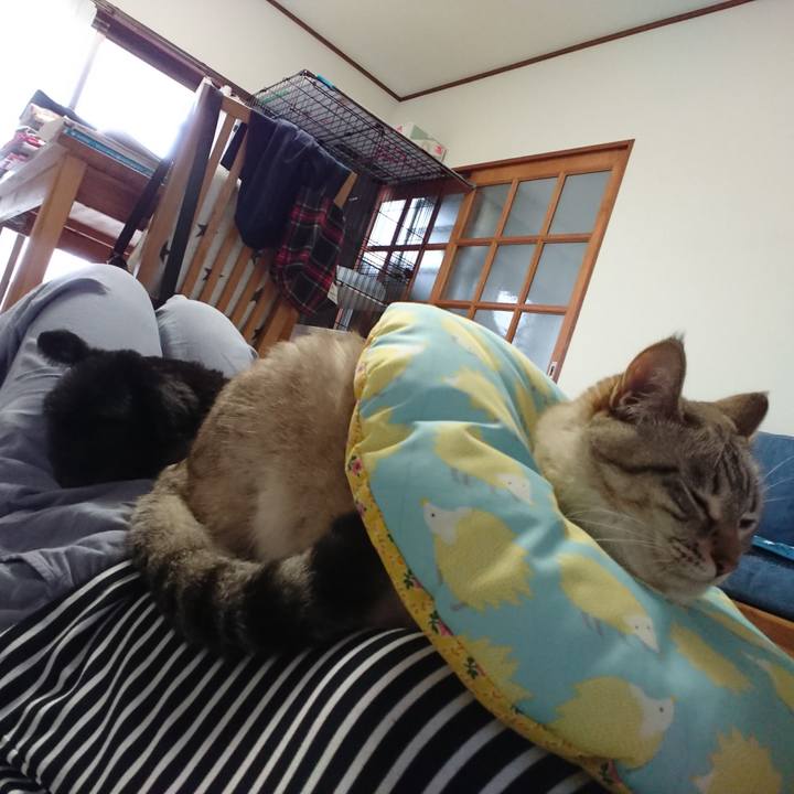 221eaef6 d987 4832 8879 ef0d1dfd227f 1563088565974