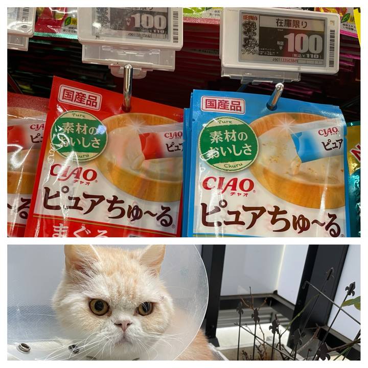 221ec69f ee32 4e97 b2ed 516b455a1ba4 1760346538373