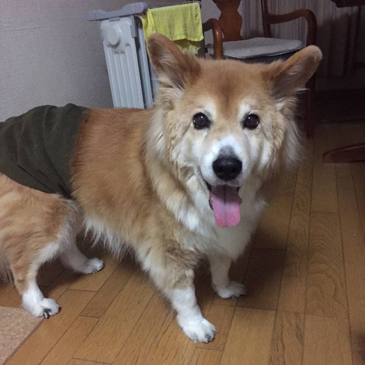 221f0ea9 ac42 46ef 9826 944c8f4d7fd3 1511245189723