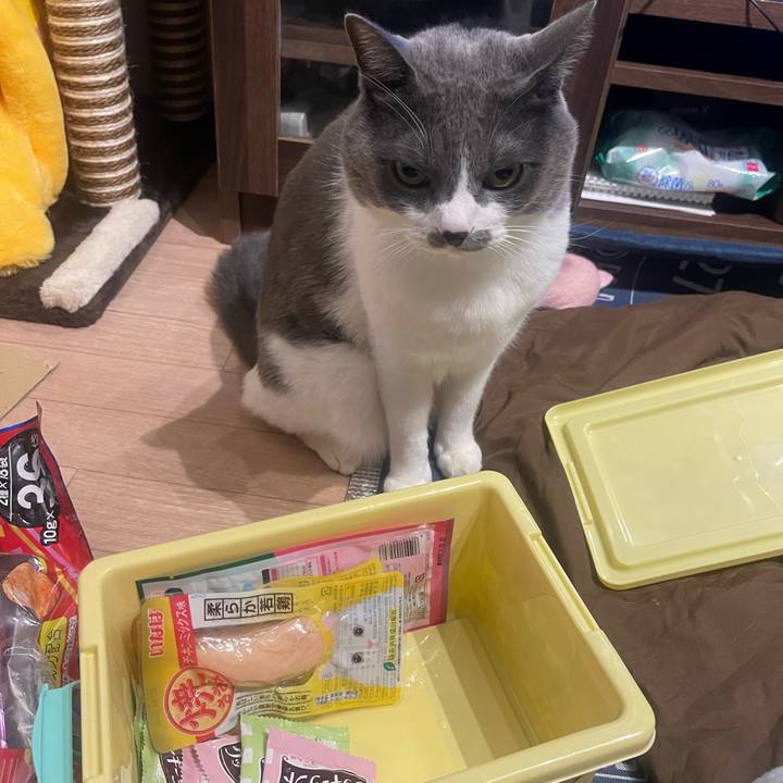 221f2579 2ca0 4882 acdc aed648c08f7d 1702648544776