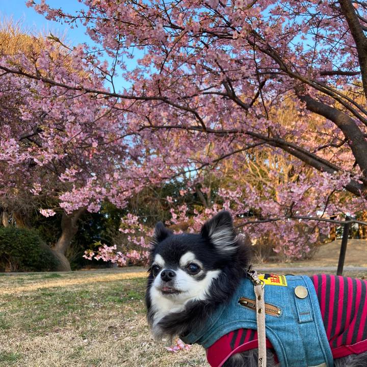 221f2900 82d0 401f a3a2 fd1634aa869a 1771408091485