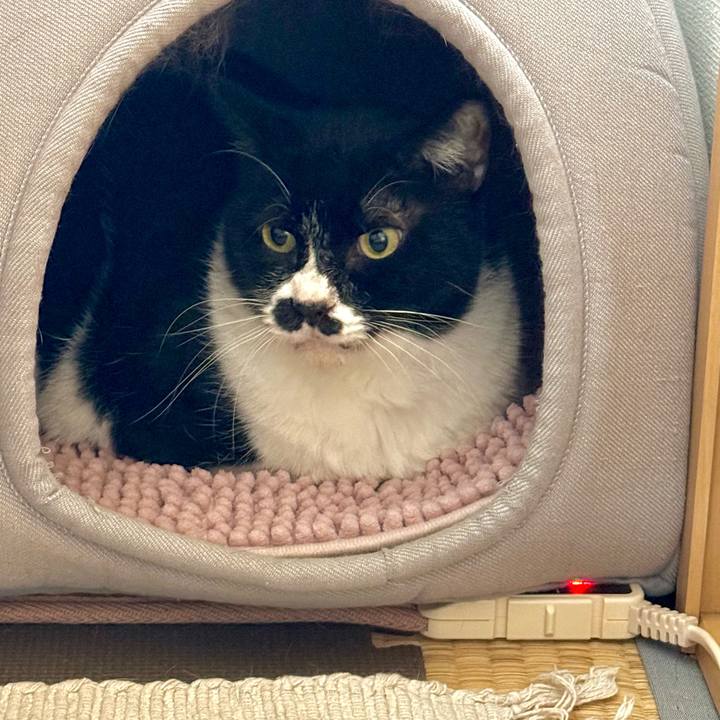 221f5fd2 ffd3 429e b933 346ec8cb13ff 1731207208683