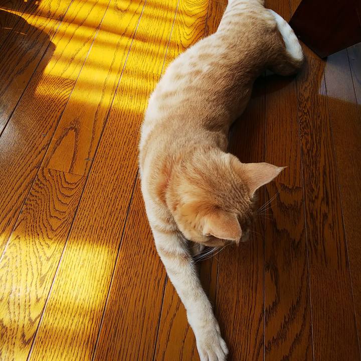 221f96ef 22ad 4c9f 90d8 58a9e3817538 1556531410652