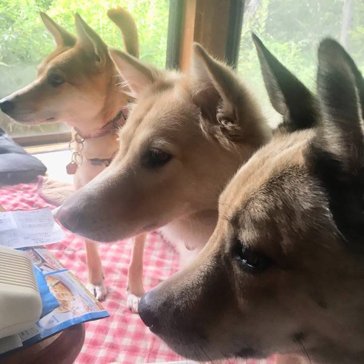 221fc6a0 d86c 4443 aa6f e1f551536047 1536481532382