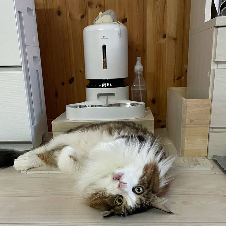 2220363a d6fa 4fb9 b5b1 5e2f345bf6ac 1725482297561