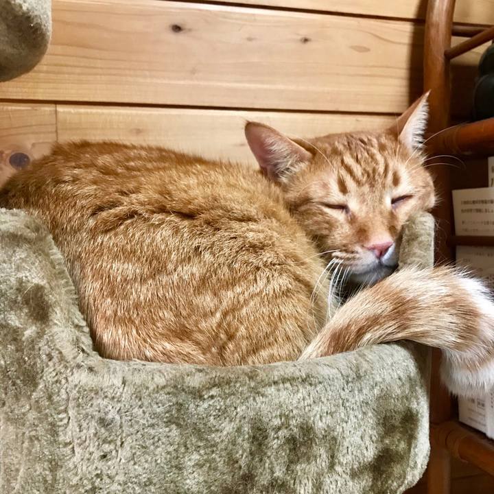 222053f3 9ae2 44a5 a29f c8e29976d546 1539051724513