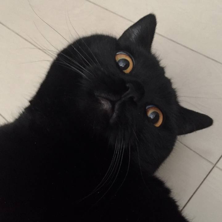 22205b1d ac9e 417b b1e1 3c1e0333becf 1526254951646