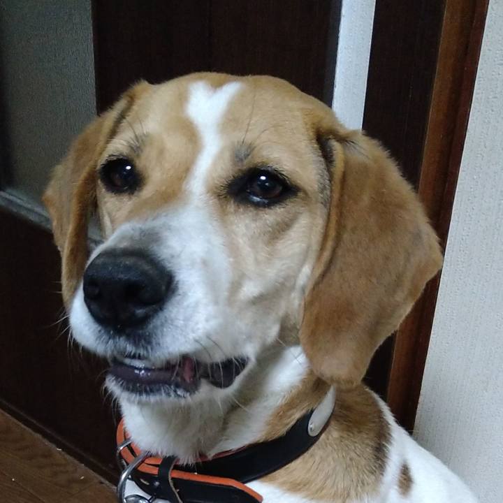 22208711 9255 40ae 8ece 3412bc3eaaf0 1621415279210