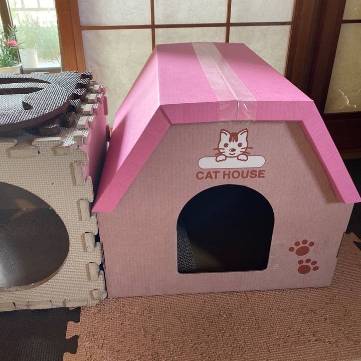 22209d90 e0c6 4841 852d 20738e882f9b 1626642981026