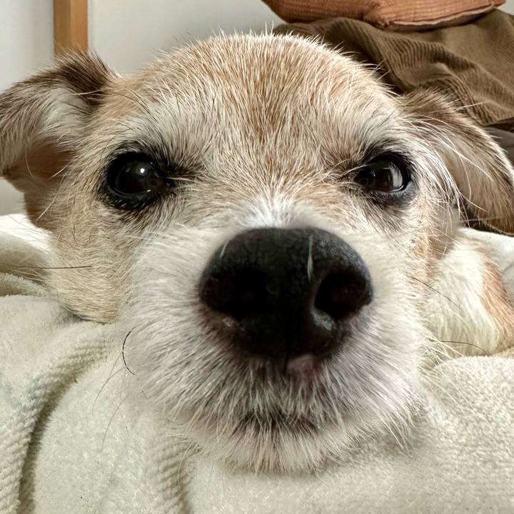 2220b0c8 ad3b 4def b0d3 190b74bea205 1697006412738