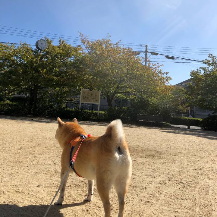 2220cc7a 6eba 45e9 a683 753bab3e2595 1572942248917