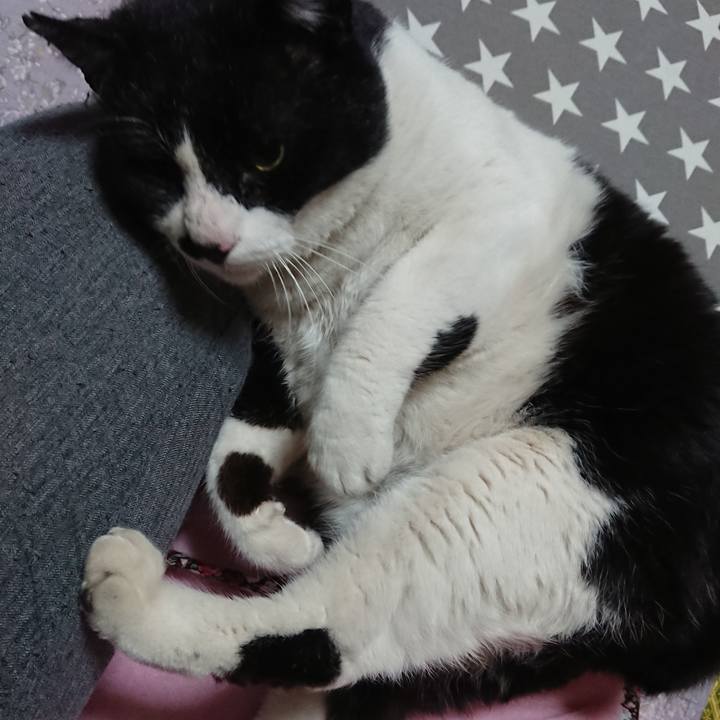 2220d46f 8215 4cd0 a3c3 7c274f8c6e0d 1552653824331