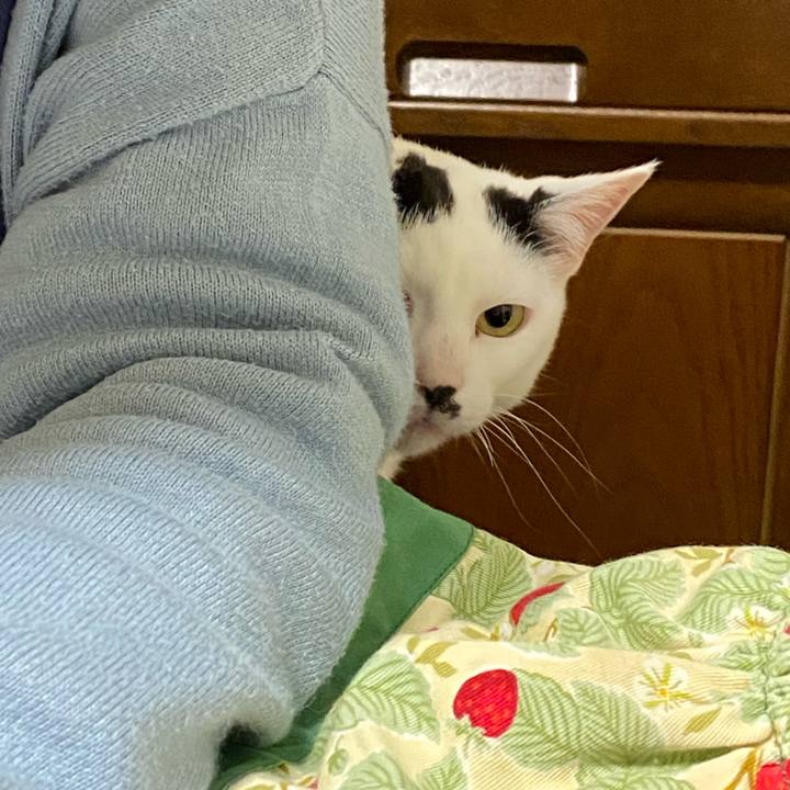 2220de0e 7274 4da4 9b56 abd881b0c138 1583567331708